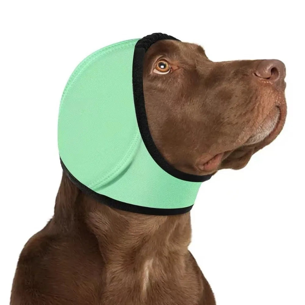 Orejeras antirruido para perros