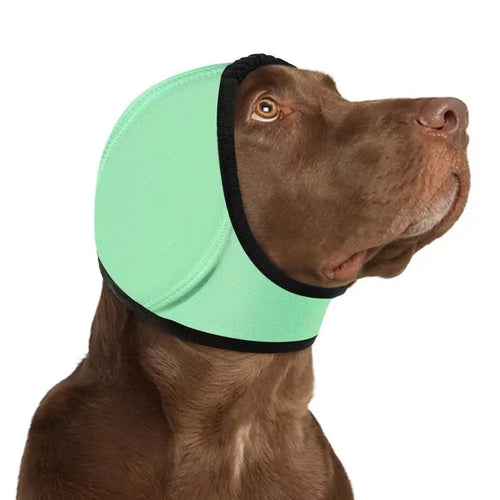 Orejeras antirruido para perros